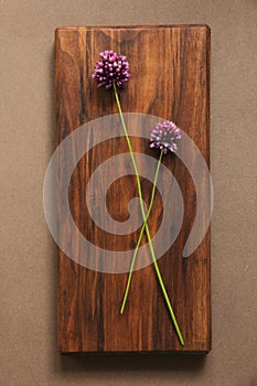 Wild onion violet on a wooden background of black walnut. Beautiful summer wildflowers. vertical, vertical design