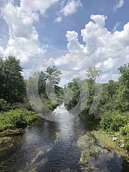 Wild Out of Doors in the Poconos