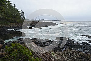 Wild Pacific Trail, Ucluelet, Tofino, Pacific Rim National Park, Vancouver Island, British Columbia, Canada