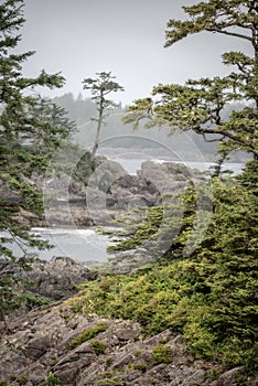Wild Pacific Trail in Ucluelet, Vancouver Island, British Columbia Canada