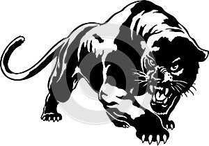 Wild Panther Illustration photo