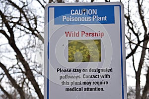Wild Parsnip Poisonous Plant Warning Sign
