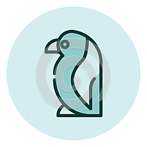 Wild peguin, icon photo