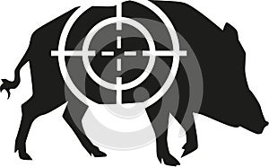 Wild pig with crosshair hunting
