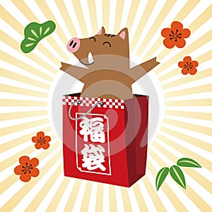 Wild pig in a lucky bag on radial patterned background