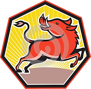 Wild Pig Razorback Hog