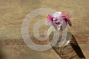 Wild pink flower in glass vase on wood floor background