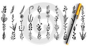 Wild plants doodle set