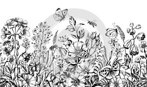 Wild Plants and Insects Seamless Border