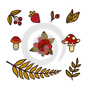 Wild plants and mushrooms color icons set on white