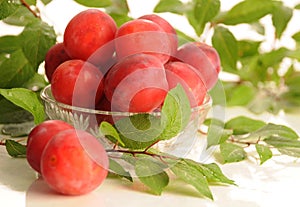 Wild plums