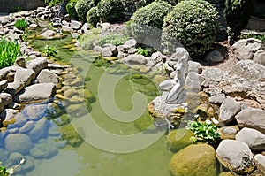 Wild pond in the Park in Partenit photo