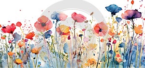 Wild poppy flowers on summer meadow. Floral background - vector
