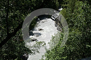 wild pure water river in the foerst