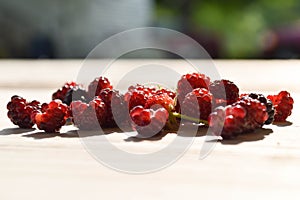 Wild Raspberries