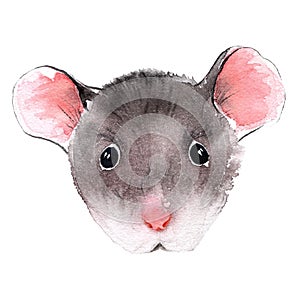 Wild rat. Mouse Chinese new year. Watercolor illustration.