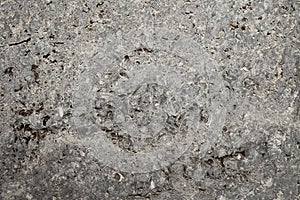 Wild raw marble stone with holes texture. multi-colored