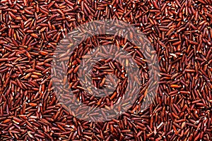 Wild raw red rice groats, food background texture, top view