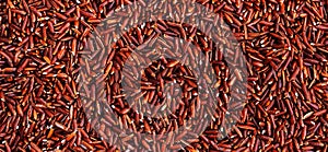 Wild raw red rice groats, food background texture, top view horizontal banner