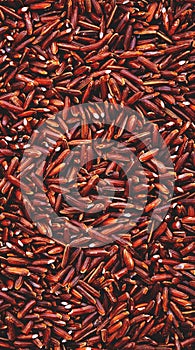 Wild raw red rice groats, food background texture, top view vertical banner