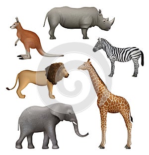 Wild realistic animals. Elephant kangaroo lion zebra rhinoceros african safari collection decent vector illustration
