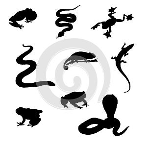 Wild reptile vector collection