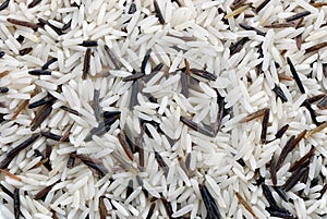 Wild rice background