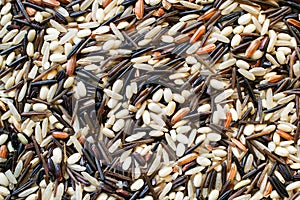 Wild Rice blend background