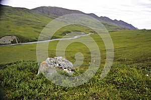 Wild river Alaska with colorful rock