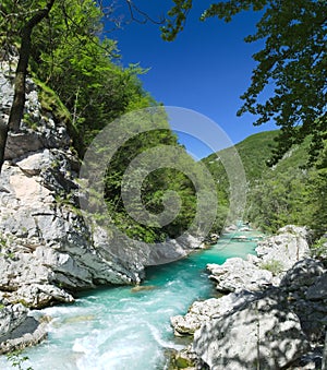 Wild river in the Alps (Soca / Isonzo)