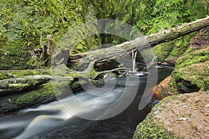 Wild river in the canyon Finnich Glenn