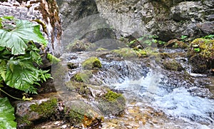 Wild river in the canyon in Prosiecka Valley Prosiecka dolina in summertime, northern Slovakia, Europe.