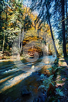 Wild river Doubrava, autumn landscape