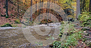 Wild river Doubrava in fall colors, picturesque landscape