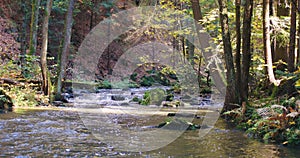 Wild river Doubrava in fall colors, picturesque landscape