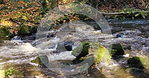 Wild river Doubrava in fall colors, picturesque landscape