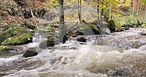 Wild river Doubrava in fall colors, picturesque landscape