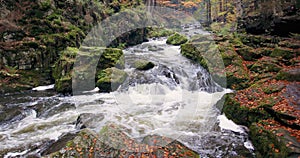 Wild river Doubrava in fall colors, picturesque landscape