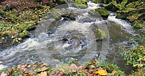 Wild river Doubrava in fall colors, picturesque landscape