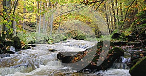 Wild river Doubrava in fall colors, picturesque landscape