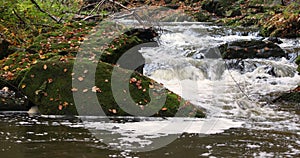 Wild river Doubrava in fall colors, picturesque landscape