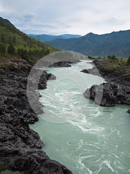 Wild River flows through a narrow gorge in a forest