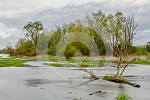 Wild river with long exposure time