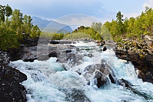 Wild river and rapids in Abisko