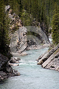 Wild river in the rocky mountains - Canada