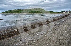 Wild river shore at Bic Park photo