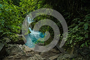 Wild river stream rocks flowing. Forest river rocks view in Tamasopo san luis potosi mexico