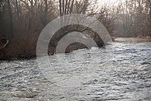 Wild river in winter with bare trees on the bank