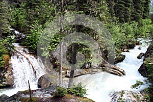 Wild rivers in the rocky mountains Canada