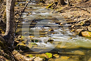 Rocky View of a Wild Mountain Trout Stream